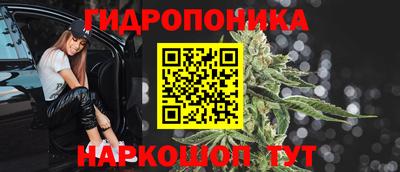 сатива Гусиноозёрск