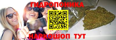 скорость Гусь-Хрустальный